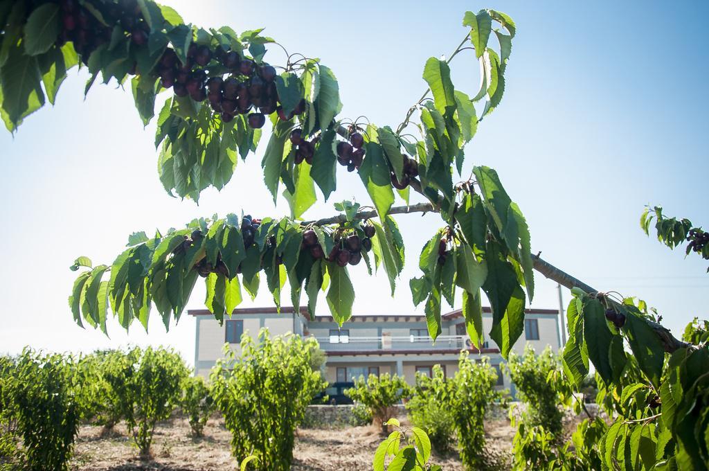 Agriturismo La Ferrovia Molfetta Ngoại thất bức ảnh